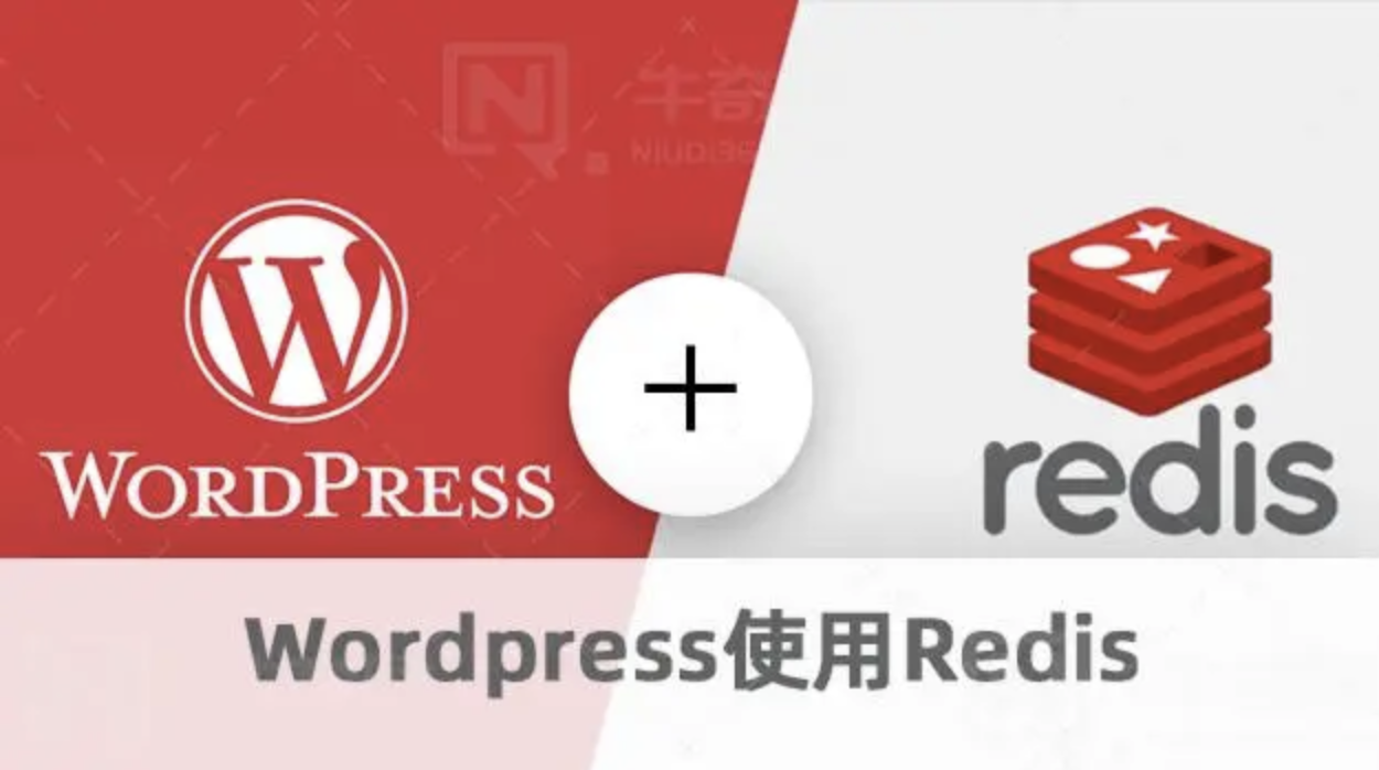 WordPress数据库缓存插件redis-cache-pro-干网站